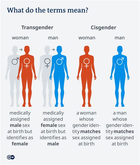 shemale meaning: Transgender woman with male genitals